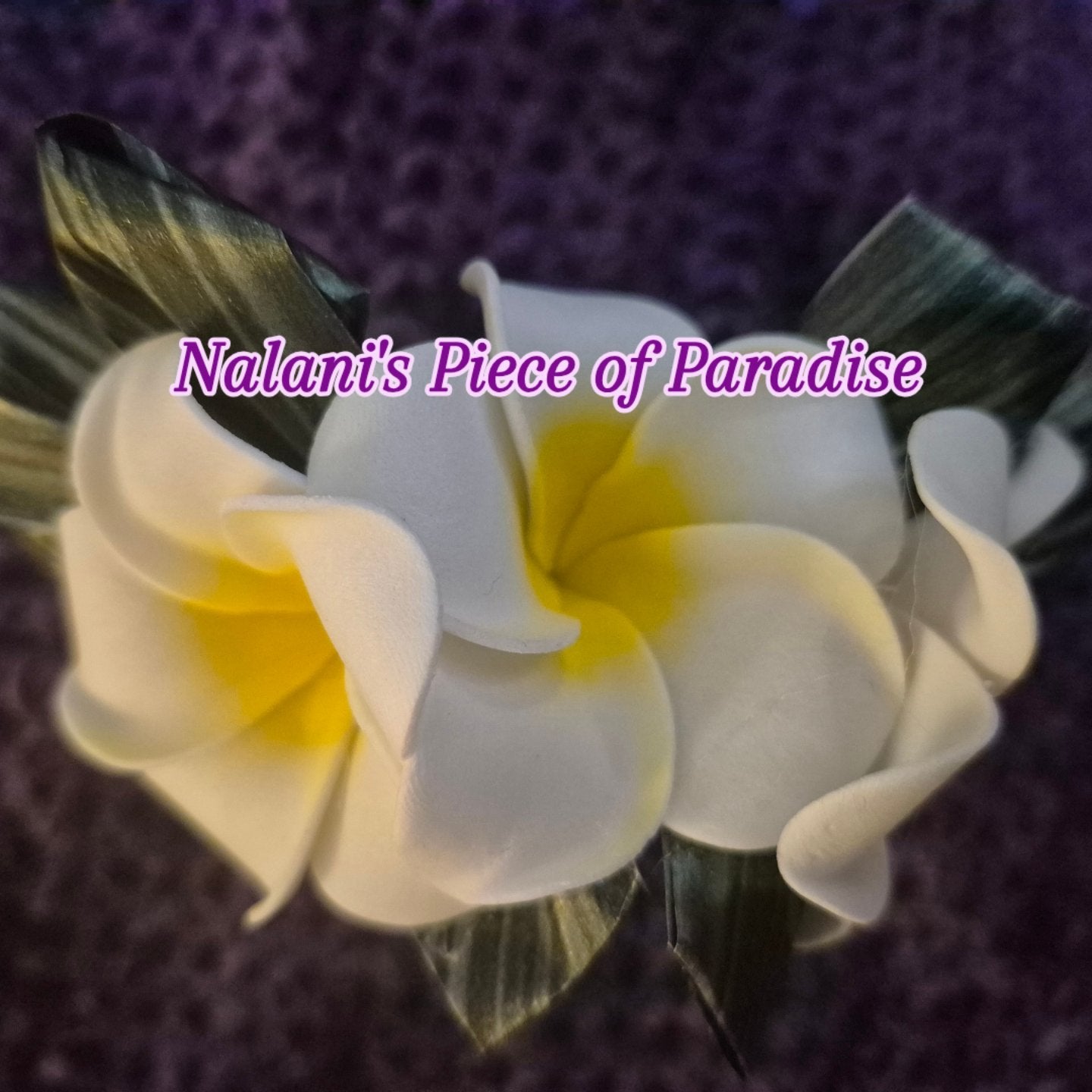 Plumeria Hair Combs